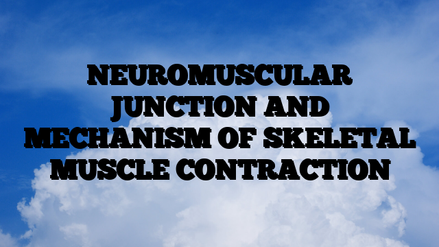 NEUROMUSCULAR JUNCTION AND MECHANISM OF SKELETAL MUSCLE CONTRACTION