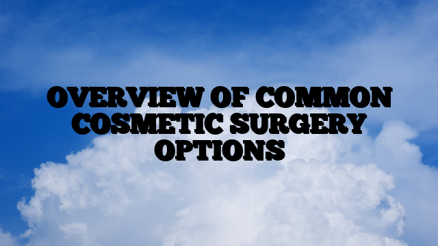 OVERVIEW OF COMMON COSMETIC SURGERY OPTIONS