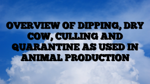 OVERVIEW OF DIPPING, DRY COW, CULLING AND QUARANTINE AS USED IN ANIMAL PRODUCTION