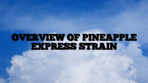 OVERVIEW OF PINEAPPLE EXPRESS STRAIN