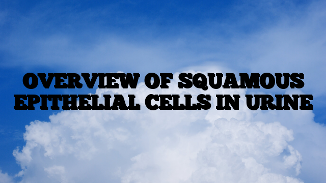 OVERVIEW OF SQUAMOUS EPITHELIAL CELLS IN URINE