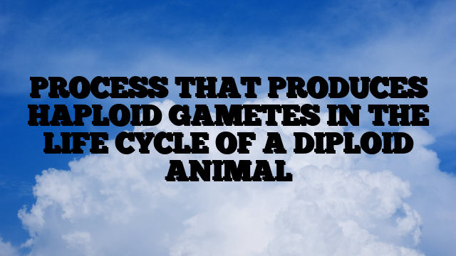 PROCESS THAT PRODUCES HAPLOID GAMETES IN THE LIFE CYCLE OF A DIPLOID ANIMAL