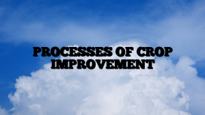 PROCESSES OF CROP IMPROVEMENT