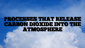 PROCESSES THAT RELEASE CARBON DIOXIDE INTO THE ATMOSPHERE