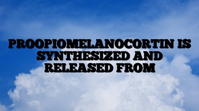 PROOPIOMELANOCORTIN IS SYNTHESIZED AND RELEASED FROM