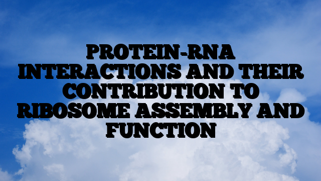 PROTEIN-RNA INTERACTIONS AND THEIR CONTRIBUTION TO RIBOSOME ASSEMBLY AND FUNCTION