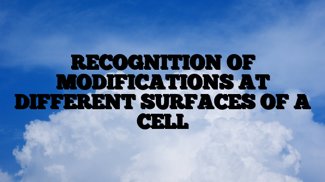 RECOGNITION OF MODIFICATIONS AT DIFFERENT SURFACES OF A CELL