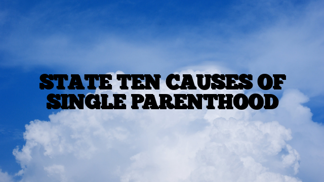 STATE TEN CAUSES OF SINGLE PARENTHOOD