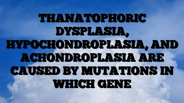 THANATOPHORIC DYSPLASIA, HYPOCHONDROPLASIA, AND ACHONDROPLASIA ARE CAUSED BY MUTATIONS IN WHICH GENE