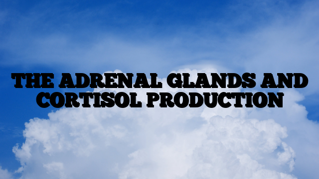 THE ADRENAL GLANDS AND CORTISOL PRODUCTION