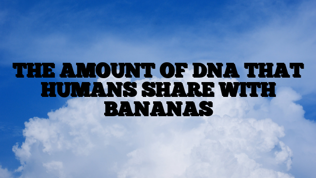 THE AMOUNT OF DNA THAT HUMANS SHARE WITH BANANAS