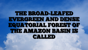 THE BROAD-LEAFED EVERGREEN AND DENSE EQUATORIAL FOREST OF THE AMAZON BASIN IS CALLED