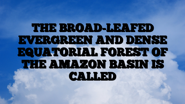 THE BROAD-LEAFED EVERGREEN AND DENSE EQUATORIAL FOREST OF THE AMAZON BASIN IS CALLED