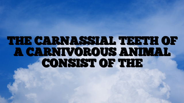 THE CARNASSIAL TEETH OF A CARNIVOROUS ANIMAL CONSIST OF THE