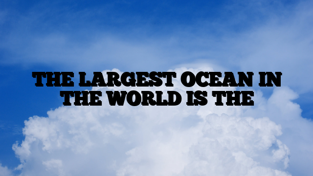 THE LARGEST OCEAN IN THE WORLD IS THE