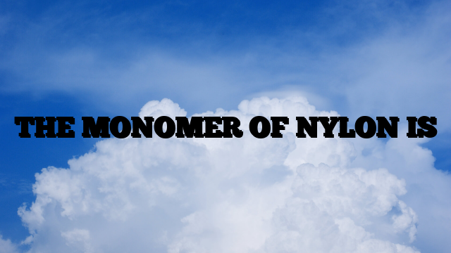 THE MONOMER OF NYLON IS