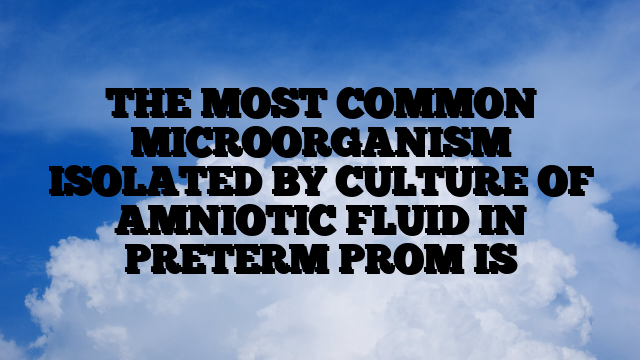 THE MOST COMMON MICROORGANISM ISOLATED BY CULTURE OF AMNIOTIC FLUID IN PRETERM PROM IS