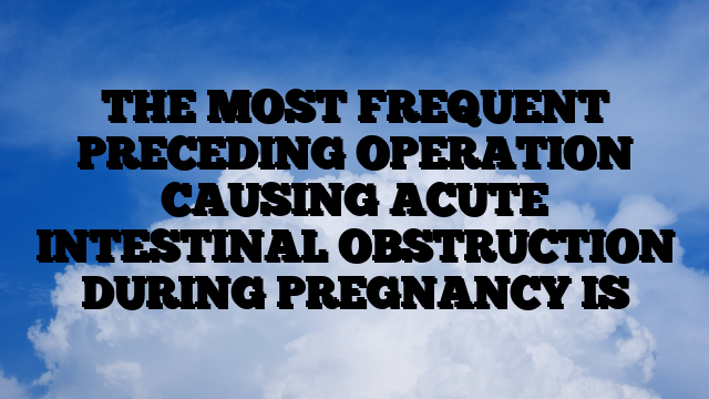 THE MOST FREQUENT PRECEDING OPERATION CAUSING ACUTE INTESTINAL OBSTRUCTION DURING PREGNANCY IS