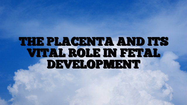 THE PLACENTA AND ITS VITAL ROLE IN FETAL DEVELOPMENT