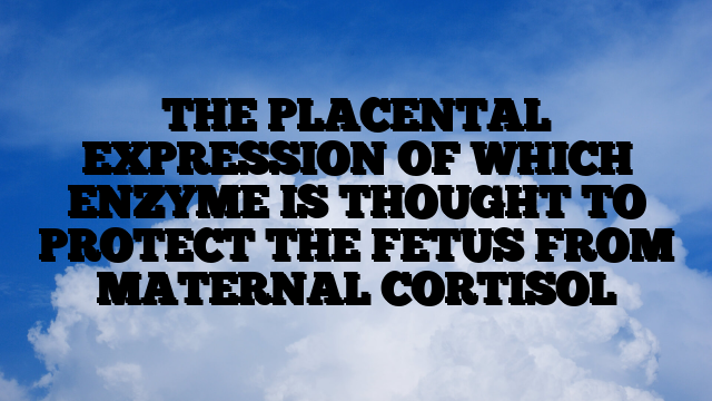 THE PLACENTAL EXPRESSION OF WHICH ENZYME IS THOUGHT TO PROTECT THE FETUS FROM MATERNAL CORTISOL