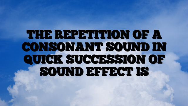 THE REPETITION OF A CONSONANT SOUND IN QUICK SUCCESSION OF SOUND EFFECT IS