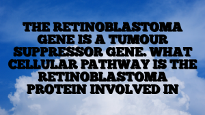 THE RETINOBLASTOMA GENE IS A TUMOUR SUPPRESSOR GENE. WHAT CELLULAR PATHWAY IS THE RETINOBLASTOMA PROTEIN INVOLVED IN