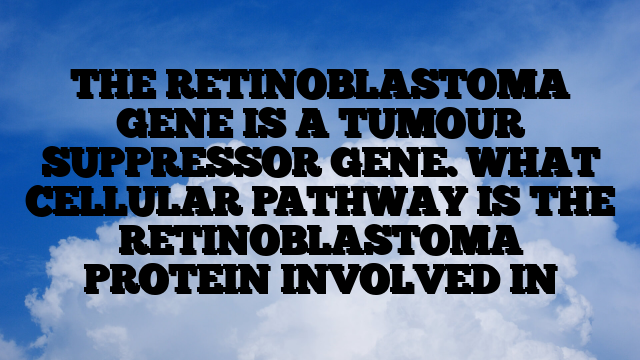 THE RETINOBLASTOMA GENE IS A TUMOUR SUPPRESSOR GENE. WHAT CELLULAR PATHWAY IS THE RETINOBLASTOMA PROTEIN INVOLVED IN