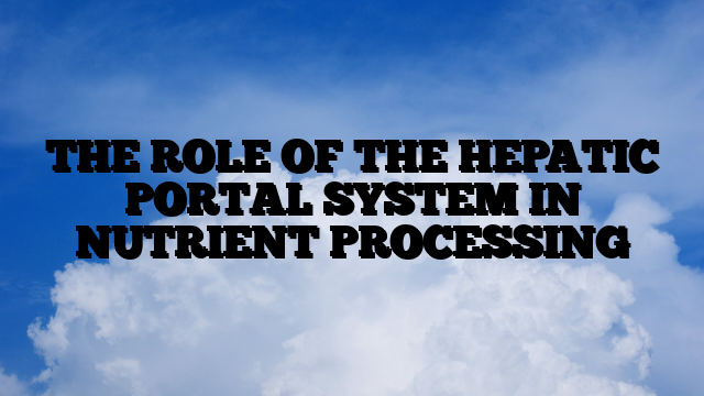 THE ROLE OF THE HEPATIC PORTAL SYSTEM IN NUTRIENT PROCESSING