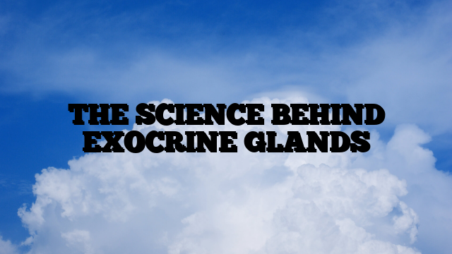 THE SCIENCE BEHIND EXOCRINE GLANDS