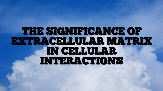 THE SIGNIFICANCE OF EXTRACELLULAR MATRIX IN CELLULAR INTERACTIONS