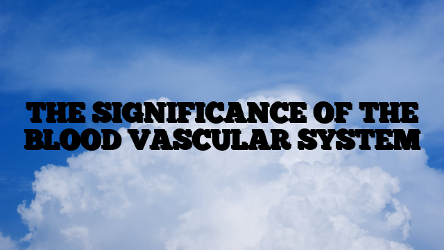 THE SIGNIFICANCE OF THE BLOOD VASCULAR SYSTEM