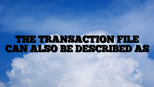 THE TRANSACTION FILE CAN ALSO BE DESCRIBED AS