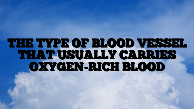 THE TYPE OF BLOOD VESSEL THAT USUALLY CARRIES OXYGEN-RICH BLOOD