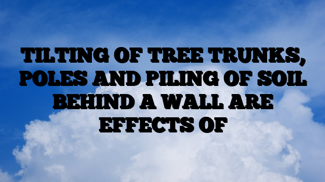 TILTING OF TREE TRUNKS, POLES AND PILING OF SOIL BEHIND A WALL ARE EFFECTS OF