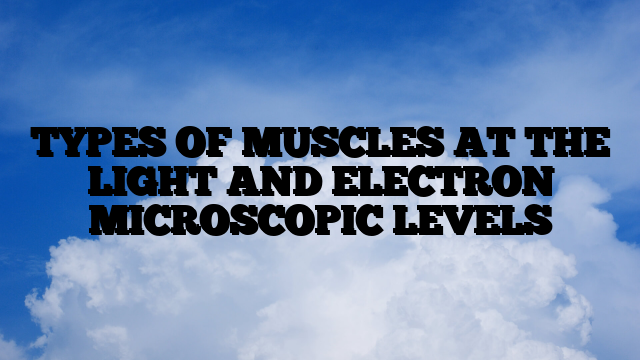 TYPES OF MUSCLES AT THE LIGHT AND ELECTRON MICROSCOPIC LEVELS