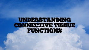 UNDERSTANDING CONNECTIVE TISSUE FUNCTIONS