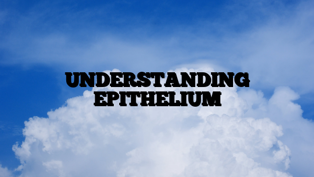 UNDERSTANDING EPITHELIUM