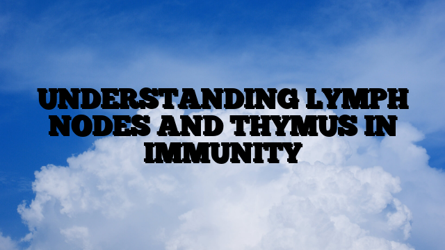 UNDERSTANDING LYMPH NODES AND THYMUS IN IMMUNITY