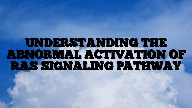 UNDERSTANDING THE ABNORMAL ACTIVATION OF RAS SIGNALING PATHWAY