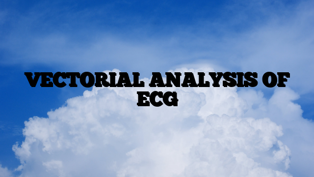 VECTORIAL ANALYSIS OF ECG