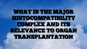 WHAT IS THE MAJOR HISTOCOMPATIBILITY COMPLEX AND ITS RELEVANCE TO ORGAN TRANSPLANTATION