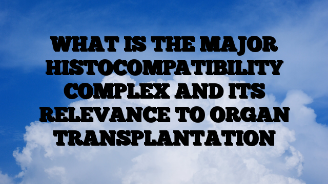 WHAT IS THE MAJOR HISTOCOMPATIBILITY COMPLEX AND ITS RELEVANCE TO ORGAN TRANSPLANTATION