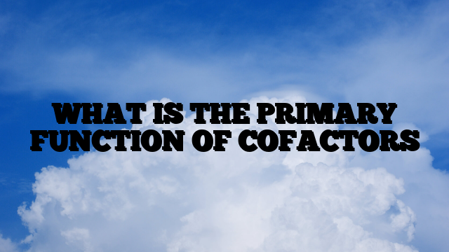 WHAT IS THE PRIMARY FUNCTION OF COFACTORS