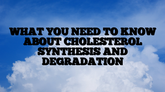 WHAT YOU NEED TO KNOW ABOUT CHOLESTEROL SYNTHESIS AND DEGRADATION