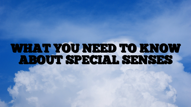 WHAT YOU NEED TO KNOW ABOUT SPECIAL SENSES