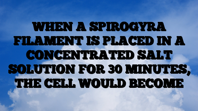 WHEN A SPIROGYRA FILAMENT IS PLACED IN A CONCENTRATED SALT SOLUTION FOR 30 MINUTES, THE CELL WOULD BECOME