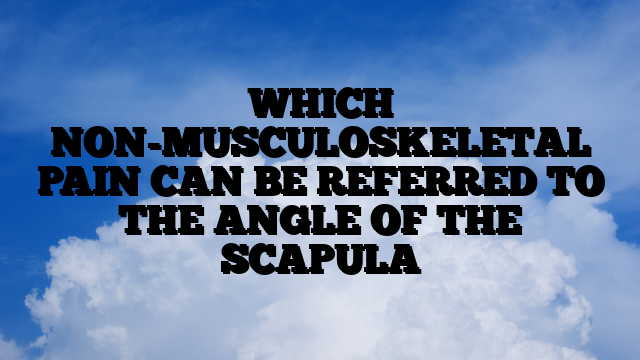 WHICH NON-MUSCULOSKELETAL PAIN CAN BE REFERRED TO THE ANGLE OF THE SCAPULA