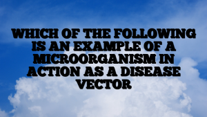 WHICH OF THE FOLLOWING IS AN EXAMPLE OF A MICROORGANISM IN ACTION AS A DISEASE VECTOR