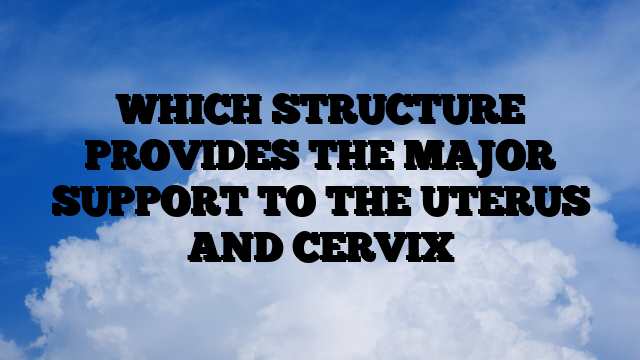 WHICH STRUCTURE PROVIDES THE MAJOR SUPPORT TO THE UTERUS AND CERVIX